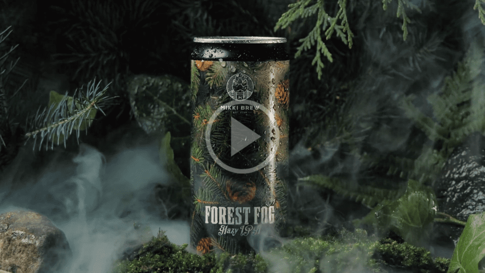 Forest Fog