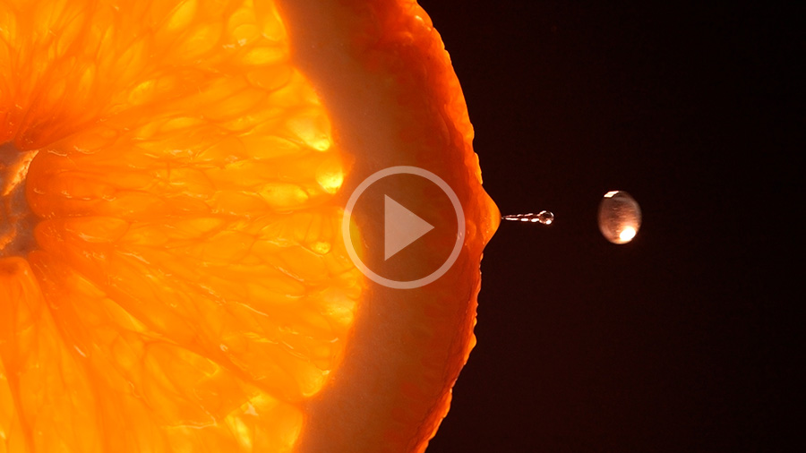 Гетьман Цитрус